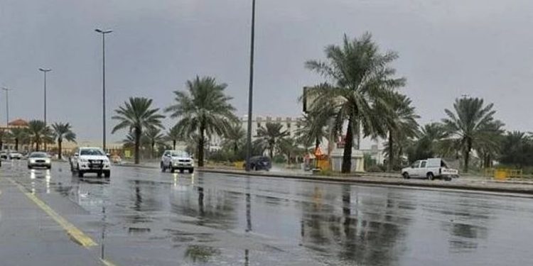 أمطار بـ11 منطقة.. حالة الطقس اليوم الأربعاء 22 رمضان 1447 في المملكة