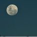 اليوم.. بدر رمضان يزين سماء الوطن العربي