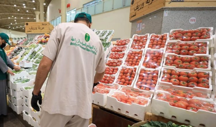 بيئة القصيم تُطلق حملة «رقابتنا على الأسواق والمسالخ لعيد صحي وآمن»