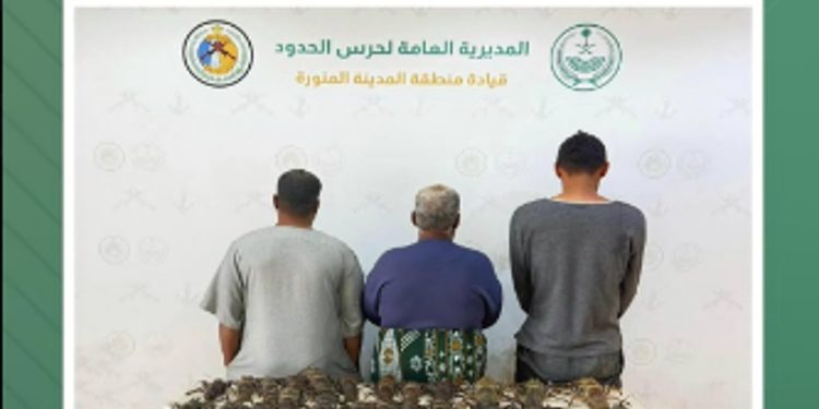 حرس الحدود بالمدينة المنورة يضبط مواطنين ومقيمًا فلبينيًا مخالفين للائحة الأنشطة البحرية