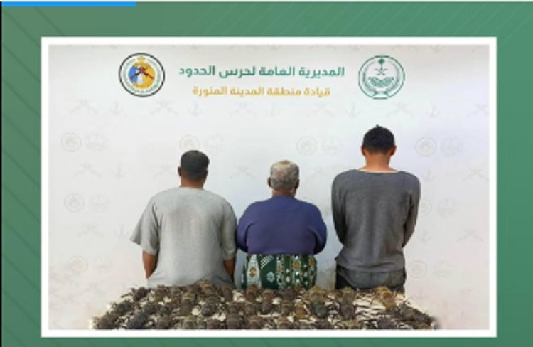 حرس الحدود بالمدينة المنورة يضبط مواطنين ومقيمًا فلبينيًا مخالفين للائحة الأنشطة البحرية