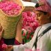«ريف السعودية»: قطاع الورد يسجّل نموًا بأكثر من 15% سنويًا وارتفاع الطلب العالمي