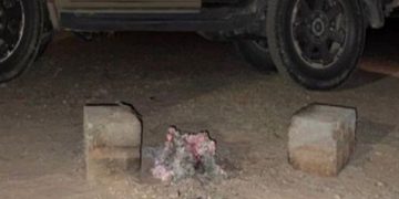 ضبط مواطن مخالف لنظام البيئة في محمية الإمام عبدالعزيز بن محمد الملكية
