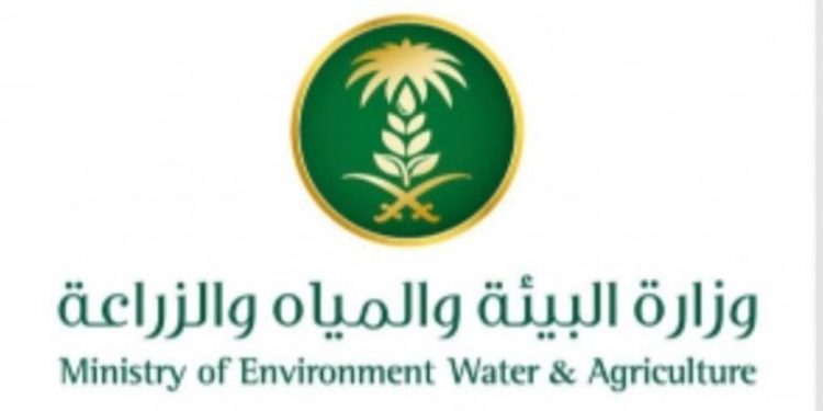 عبر منصة نما.. ما هي خدمة الاستعلام عن العقود الاستثمارية وكيفية الاستفادة منها