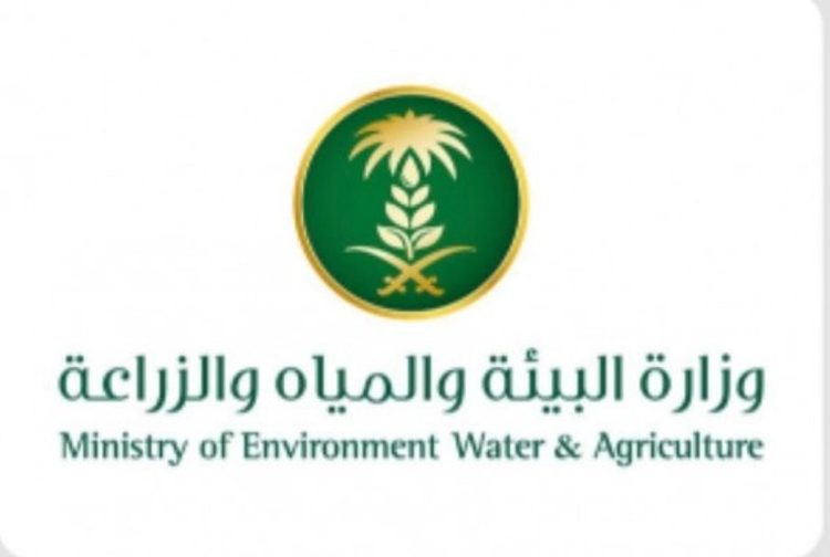 عبر منصة نما.. ما هي خدمة الاستعلام عن العقود الاستثمارية وكيفية الاستفادة منها