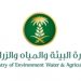 عبر منصة نما.. ما هي خدمة الاستعلام عن العقود الاستثمارية وكيفية الاستفادة منها