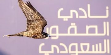 نادي الصقور السعودي يطلق عددًا من الصقور المهددة بالانقراض في كازاخستان