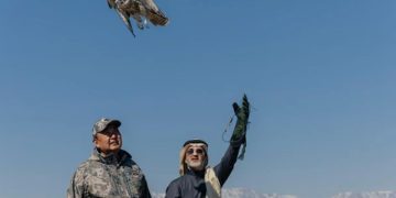 نادي الصقور السعودي يطلق عددًا من الصقور في كازاخستان لدعم التوازن البيئي