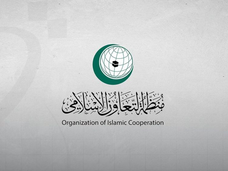 «هيئة حقوق الإنسان بالتعاون الإسلامي» تتضامن مع الدول المتضررة من الاعتداءات الإيرانية