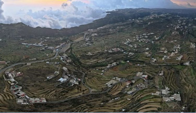 الزراعة في عسير.. تنوّع جغرافي يعزّز الإنتاج ويواكب مستهدفات الاستدامة