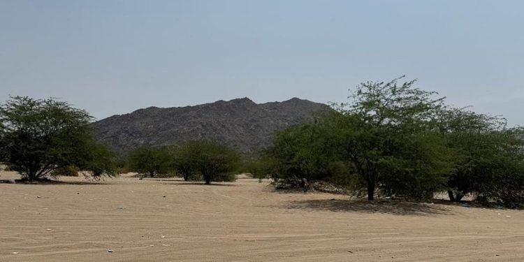 متنزه وادي المغمس البري.. لوحة طبيعية تعزز السياحة البيئية في مكة المكرمة