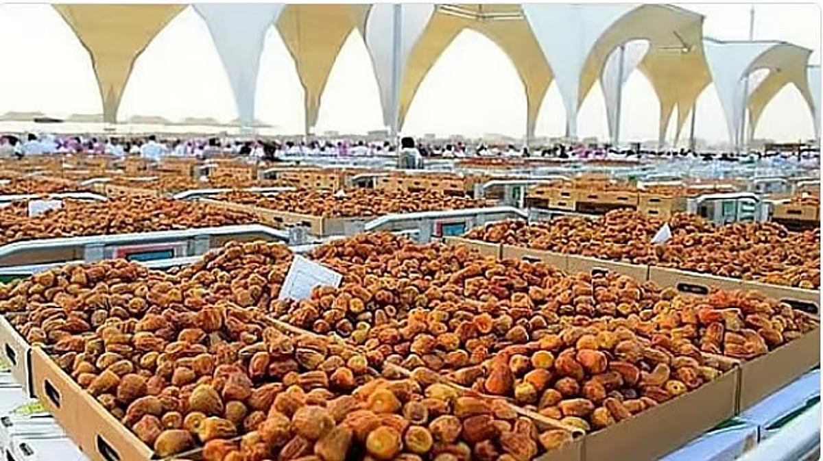 ارتفاع قيمة صادرات التمور السعودية إلى الصين بنسبة 39%