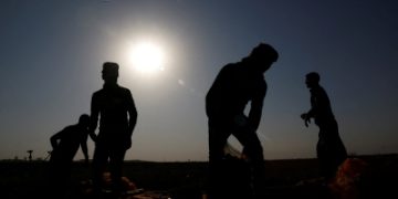 'الأمم المتحدة': الحر الشديد يهدد النظم الغذائية العالمية بالانهيار