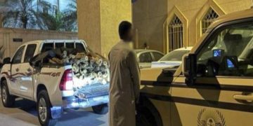 «الأمن البيئي» يضبط مواطنًا لنقله حطبًا محليًا في منطقة الرياض