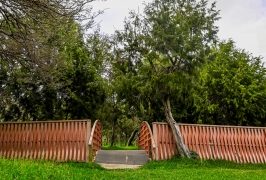 الباحة تفتح ذراعيها لعشاق الطبيعة بحلة خضراء