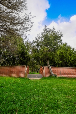 الباحة تفتح ذراعيها لعشاق الطبيعة بحلة خضراء