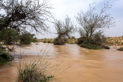 السيول ترسم مشاهد ريفية خلابة في القصيم