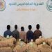القبض على 5 مخالفين يمنيين لتهريبهم 380 كيلوجرامًا من القات بجازان