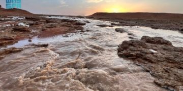 انتعاش الغطاء النباتي بعد هطول أمطار