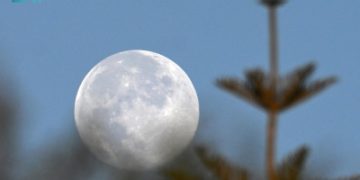 'بدر الفراشة' يزيّن سماء المملكة