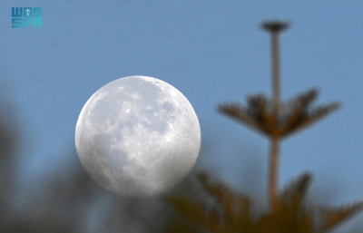 'بدر الفراشة' يزيّن سماء المملكة