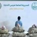 حرس الحدود بجازان يقبض على مواطن لتهريبه 60 كيلوجراما من القات المخدر