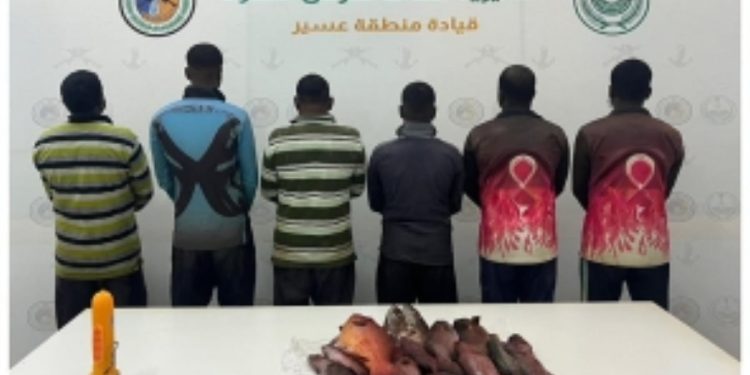 حرس الحدود بعسير يضبط 6 مخالفين لممارستهم الصيد دون تصريح