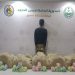 حرس الحدود بعسير يقبض على إثيوبي لتهريبه 67 كيلوجرامًا من القات المخدر