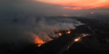 دراسة تحذر: دخان حرائق الغابات يرفع الإصابة بالسرطان