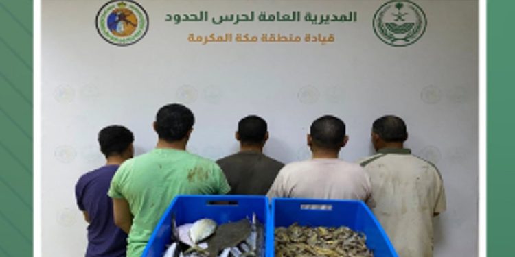 ضبط 5 مخالفين للائحة الأنشطة البحرية في محافظة القنفذة