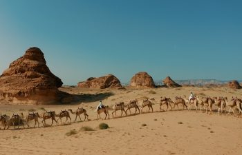 طريق الحج الشامي.. شاهد حيّ على تطور رحلة الحجيج