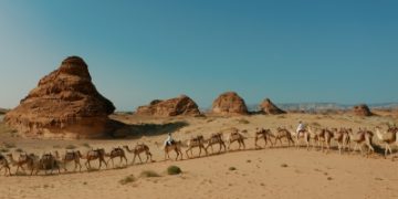 طريق الحج الشامي.. شاهد حيّ على تطور رحلة الحجيج