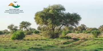 غرامة 500 ريال على كل رأس.. «عبد العزيز الملكية» تشدد على منع الرعي داخل حدود المحمية