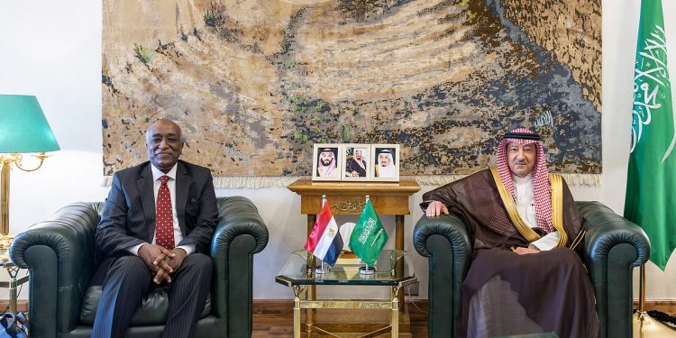 نائب وزير الخارجية يبحث مع نظيره المصري سبل تعزيز العمل المشترك لمواجهة التحديات الراهنة