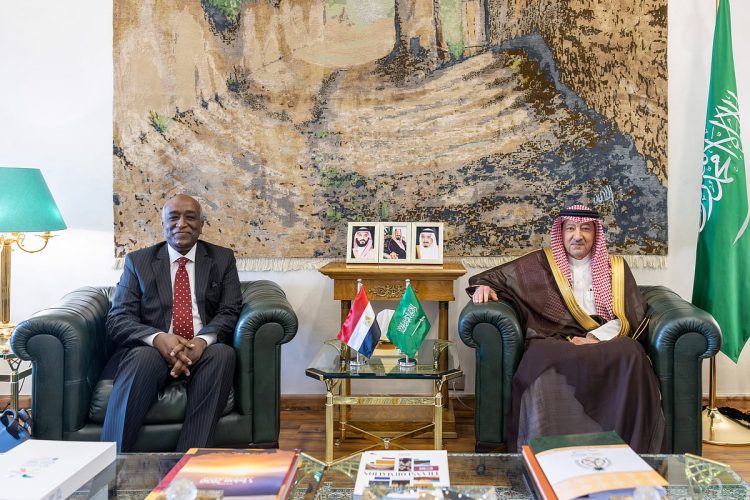 نائب وزير الخارجية يبحث مع نظيره المصري سبل تعزيز العمل المشترك لمواجهة التحديات الراهنة