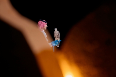 نادي الصقور يطلق صقورًا مهددة بالانقراض في كازاخستان