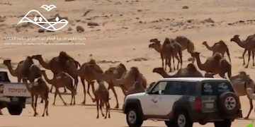 هيئة تطوير محمية الإمام عبدالعزيز تشدد على منع الرعي دون تصريح وتؤكد تطبيق العقوبات النظامية