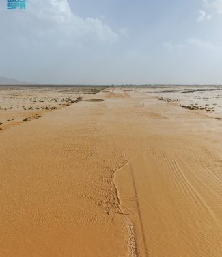 وادي الرمة.. شريان الطبيعة ورافد بيئي استراتيجي بحائل