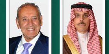 وزير الخارجية يبحث مع رئيس «نواب لبنان» التطورات على الأراضي اللبنانية