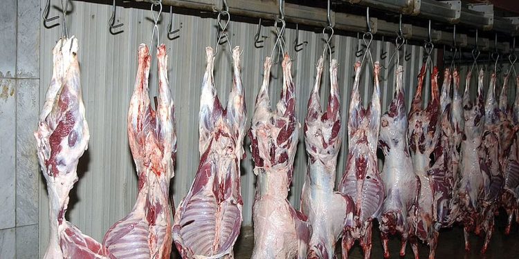 17 مسلخًا جاهزًا بمنطقة المدينة المنورة لاستقبال المضحين خلال عيد الأضحى