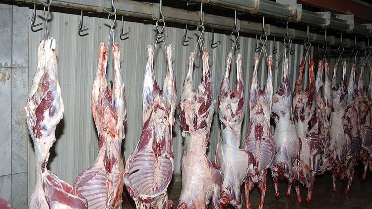 17 مسلخًا جاهزًا بمنطقة المدينة المنورة لاستقبال المضحين خلال عيد الأضحى