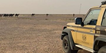 ضبط مواطن لارتكابه مخالفة رعي في محمية الإمام عبدالعزيز بن محمد الملكية