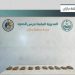 إحباط تهريب 11 كيلوجرامًا من الحشيش في جازان 