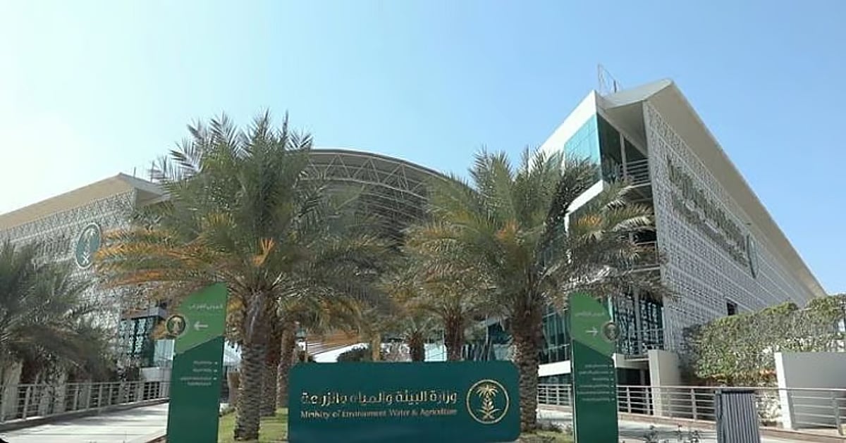 «استدامة» تدخل 7 أصناف من الكينوا تتواءم مع ظروف المملكة الجافة تعزيزًا للأمن الغذائي