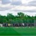 الأخضر يواصل تدريباته في نيويورك استعدادًا لمواجهة الإكوادور وديًا