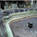 «الداخلية»: إبراز تصريح الحج لرجال الأمن شرط للدخول إلى مكة المكرمة والمشاعر المقدسة والبقاء فيهما