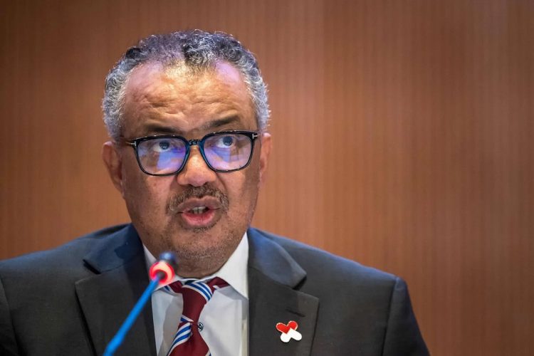 الصحة العالمية: خطر فيروس "هانتا" على الصحة العامة "لا يزال منخفضا"