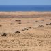 العثور على جثة أمريكي مفقود في المغرب