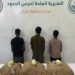 القبض على 3 مخالفين إثيوبيين لتهريبهم 60 كيلوجرامًا من القات بجازان