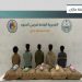 القبض على 5 من الجنسية الإثيوبية في جازان لتهريبهم 120 كيلوجرامًا من القات